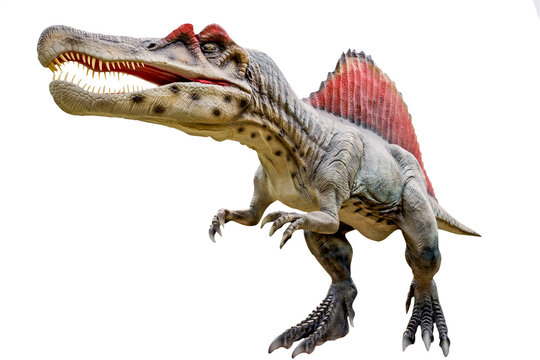 Fototapeta Dinosaur spinosaurus and monster model