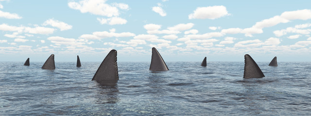 Obraz premium Ansammlung von Haien