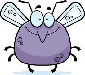 Smiling Little Mosquito