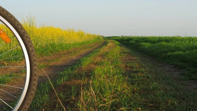 Bicycling in nature. Mountain bike on a country road.