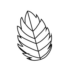 leaf icon over white background. vector illustration