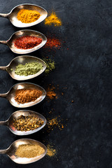 Spices and herbs in spoons and space for your text