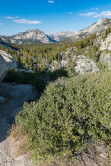 Fototapeta na wymiar Yosemite National Park in summer