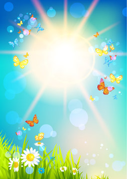 Bright sunshine and butterfly
