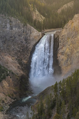 Fototapeta na wymiar Lower falls in Yellowstone National Park