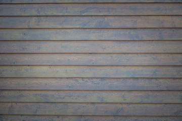 Obraz premium background of wood