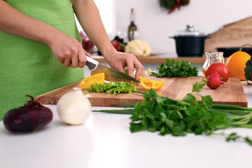 Close up of woman's hands cooking in the kitchen. Housewife slicing fresh salad. Vegetarian and healthily cooking concept.