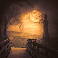 Spooky woods with moonligt as halloween backdrop scene