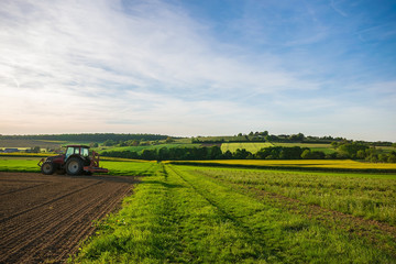 Fototapeta premium Another way in the fields