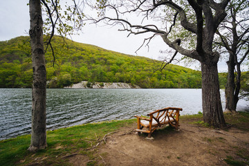 Bench along Hessian Lake, at Bear Mountain State Park, New York.