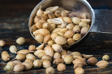 Coriander Seeds Spilled from a Teaspoon