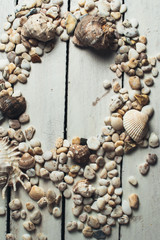 Obraz na płótnie Canvas Shells on white wooden background