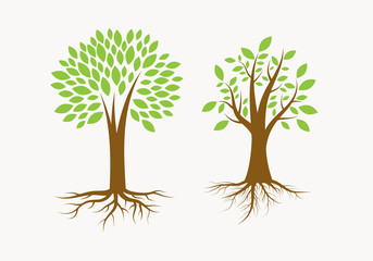 Fototapeta premium Tree With Roots. The Growth Illustration. Natural Trees.