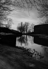 Pond with trees