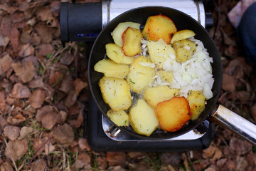 pan fried potatoes on a picnic in the woods