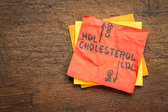 HDL And LDL Cholesterol Concept