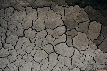Dry cracked earth background, clay desert texture