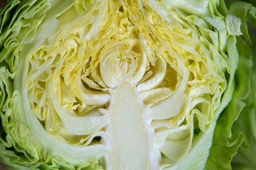 Head of cabbage cut in half closeup