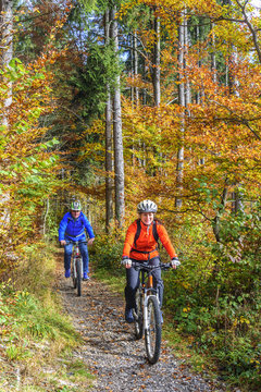 Radtour im herbstlichen Wald