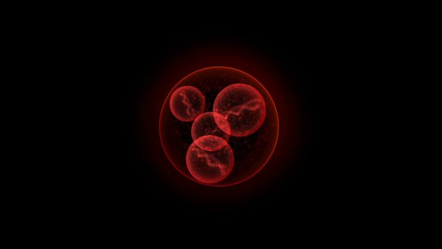 Micro red DNA cell able to loop seamless