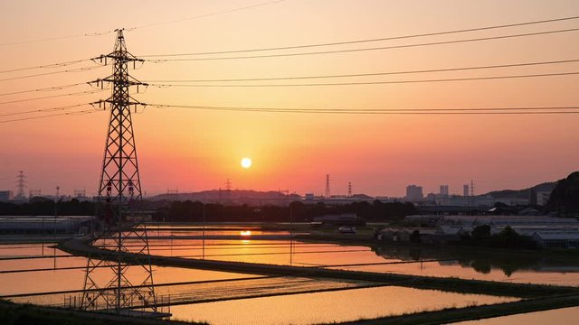 Time lapse of rice field before planting in sunset

