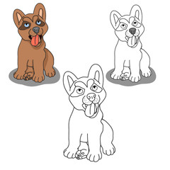 Funny puppy on a white background