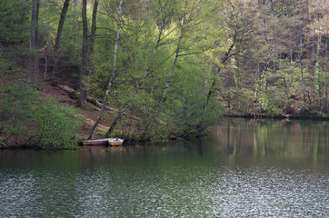 waldsee eiswoog in der pfalz