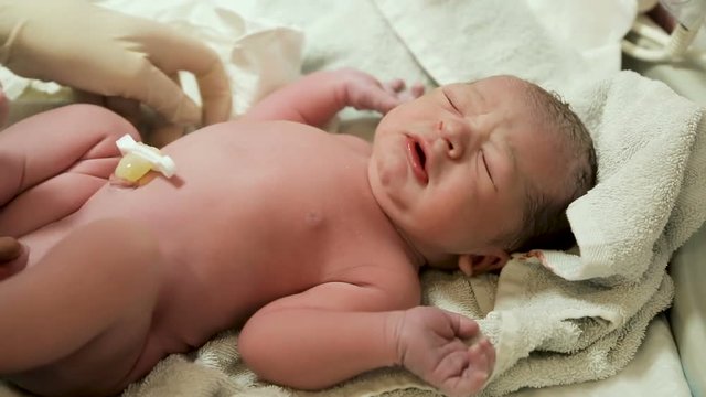 doctor puts a newborn with a clamp on the umbilical cord