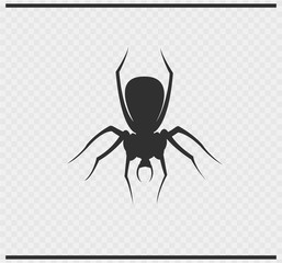 spider icon black color on transparent