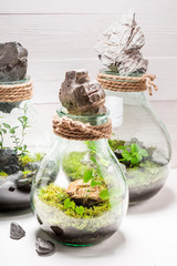Jar with piece of green forest, save the earth idea