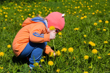 A small child picking flowers on the field