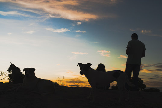 Man and dogs silhouettes at sunrise in Brazil