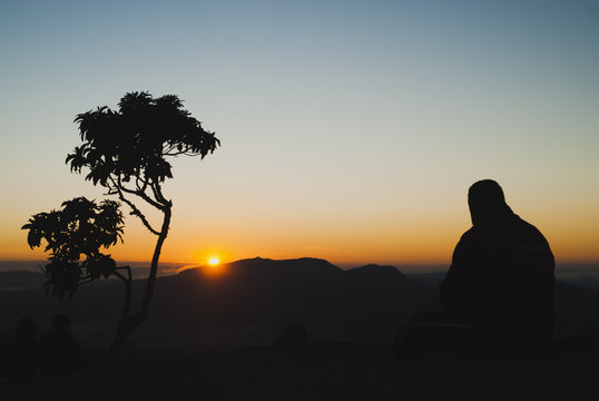 Man and tree silhouettes at sunrise in Brazil