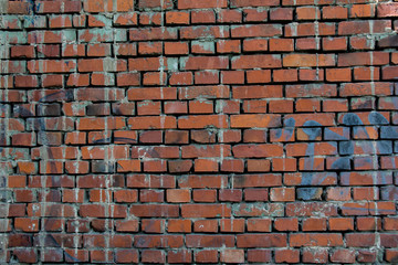 Naklejka premium brick wall
