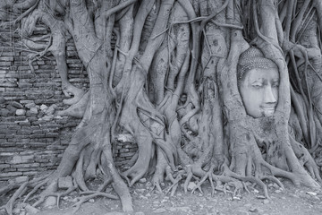 Head of Buddha statue in the tree roots at Wat Mahathat, Ayutthaya, Thailand.