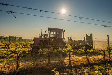 Working machines on the grape field