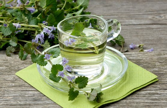 Gundermann, Heilkr&auml;utertee