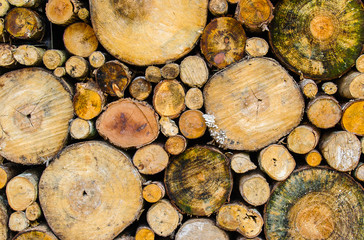 Pile of wood logs for winter, wooden background,stack of wood background