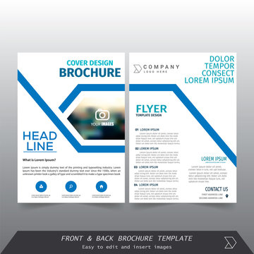 Brochure / Annual Report / Cover design vector