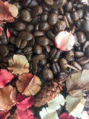 Background of Coffee Beans with Dried Flowers