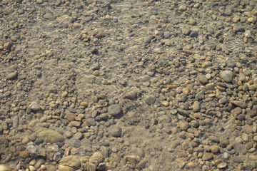 klares wasser im see