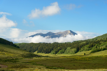 Summer Misty Mountain