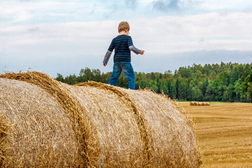 Boy, from the back, on top of large hay bail.