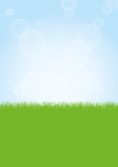 Fototapeta na wymiar Field of green grass and blue sky background illustration