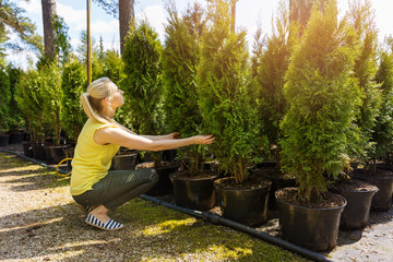 woman choosing coniferous tree at outdoor plant nursery