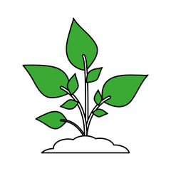 color silhouette image cartoon green plant with leaves in growth vector illustration