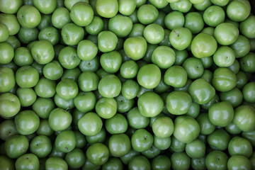 A box of Greengage plums fruits for sale in a vegetable shop.
