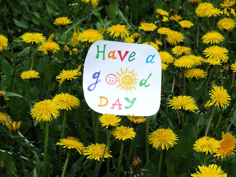 Fototapeta Paper note with phrase: Have a good day. Positive attitude concept