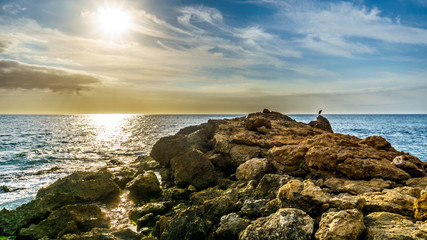 Sunset over the horizon with a heron sitting on the rocky shores Paradise Cove on the west coast of the tropical Hawaiian island of Oahu