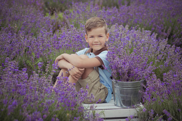 Cute little boy with on lavender field on beautiful summer day stylish dressed